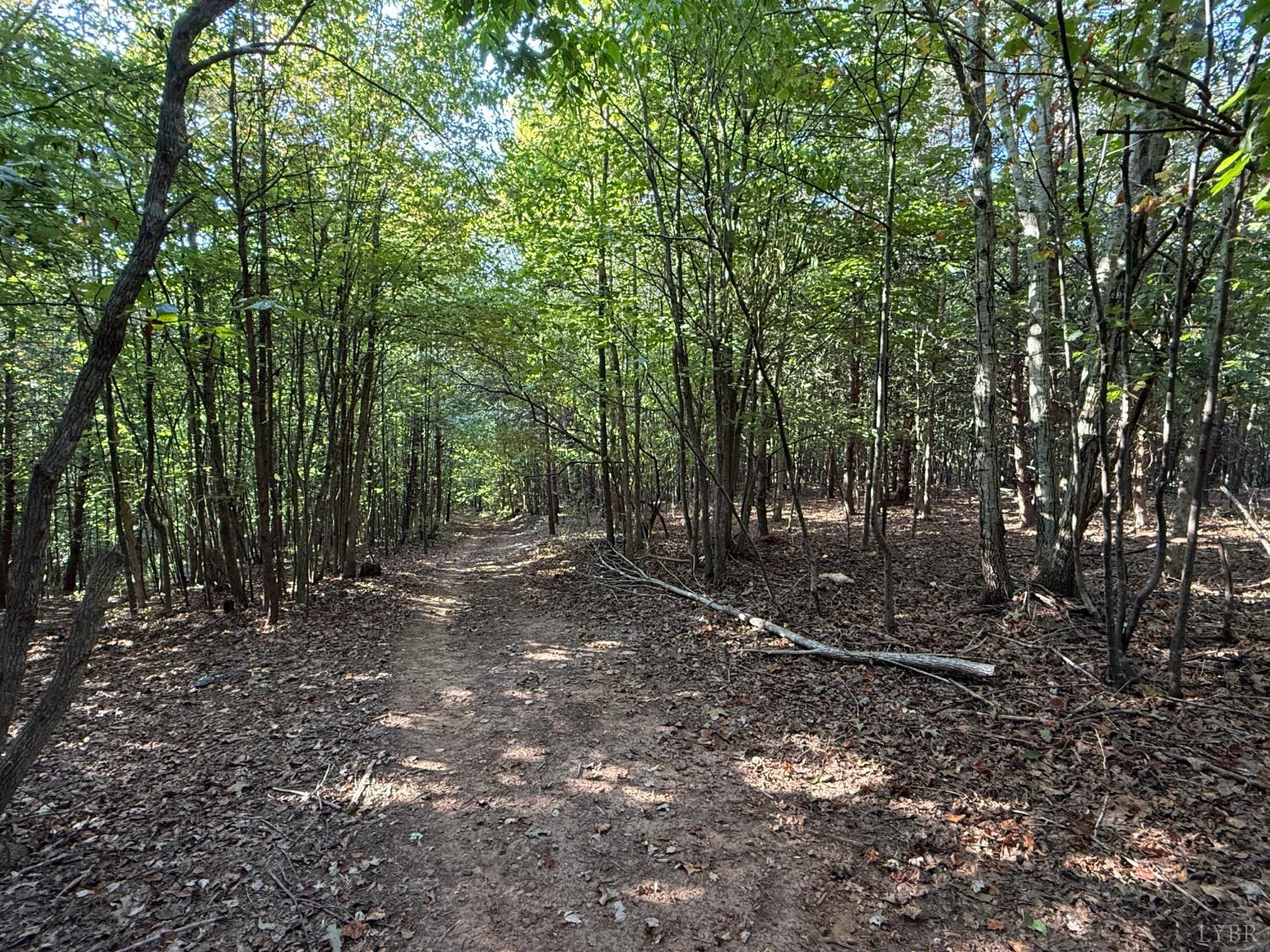 0 Shiloh Church Road Bedford, VA 24523 - Photo 13 of 20 Gallery Image 13