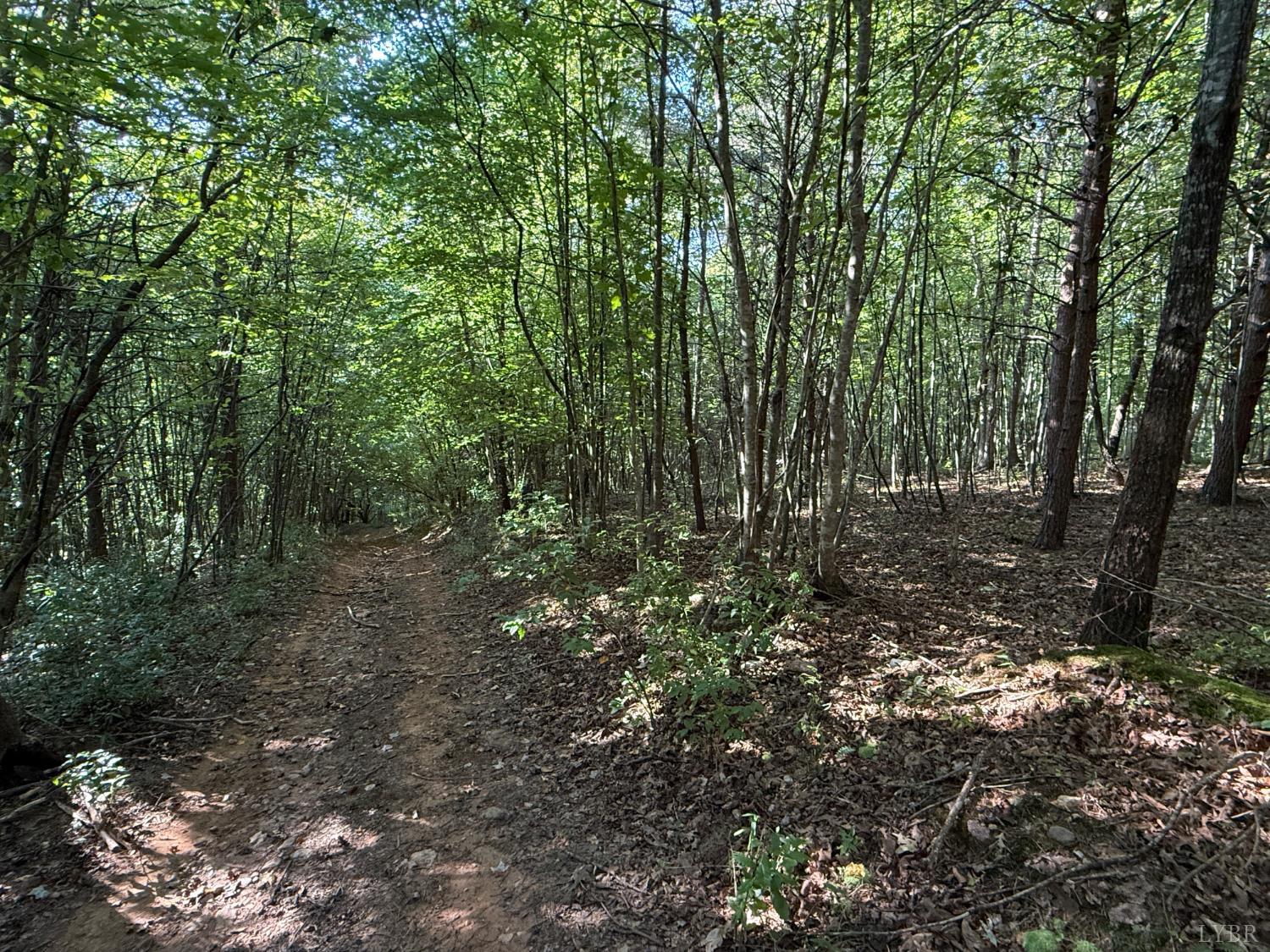 0 Shiloh Church Road Bedford, VA 24523 - Photo 16 of 20 Gallery Image 16