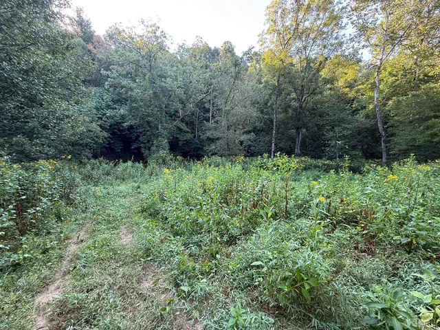 $79,995 | 0 Shiloh Church Road, Bedford, VA 24523