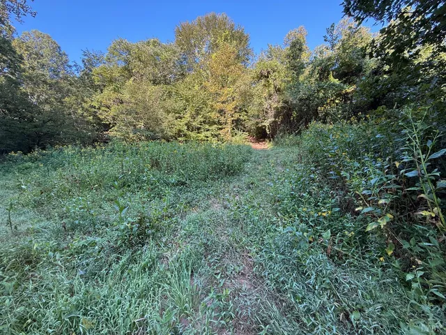 $79,995 | 0 Shiloh Church Road, Bedford, VA 24523