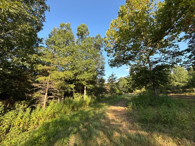 a view of a lake with a tree