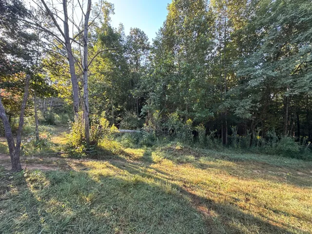 a view of backyard with green space
