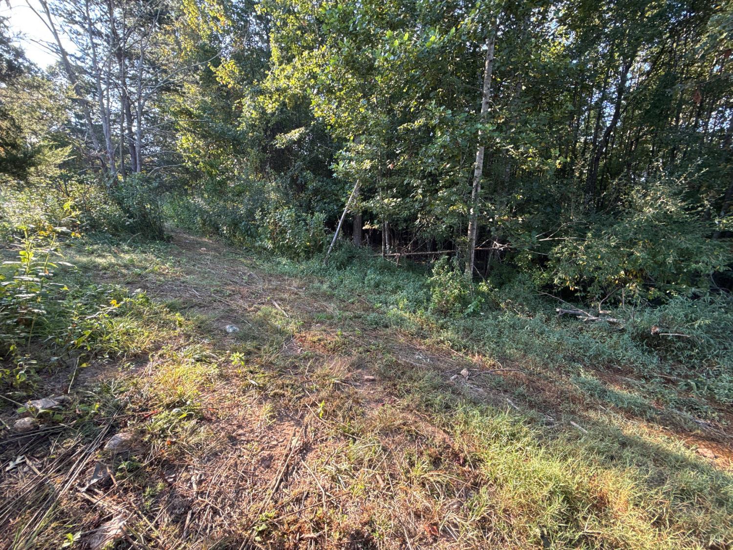 0 Shiloh Church Road Bedford, VA 24523 - Photo 4 of 20 Gallery Image 4