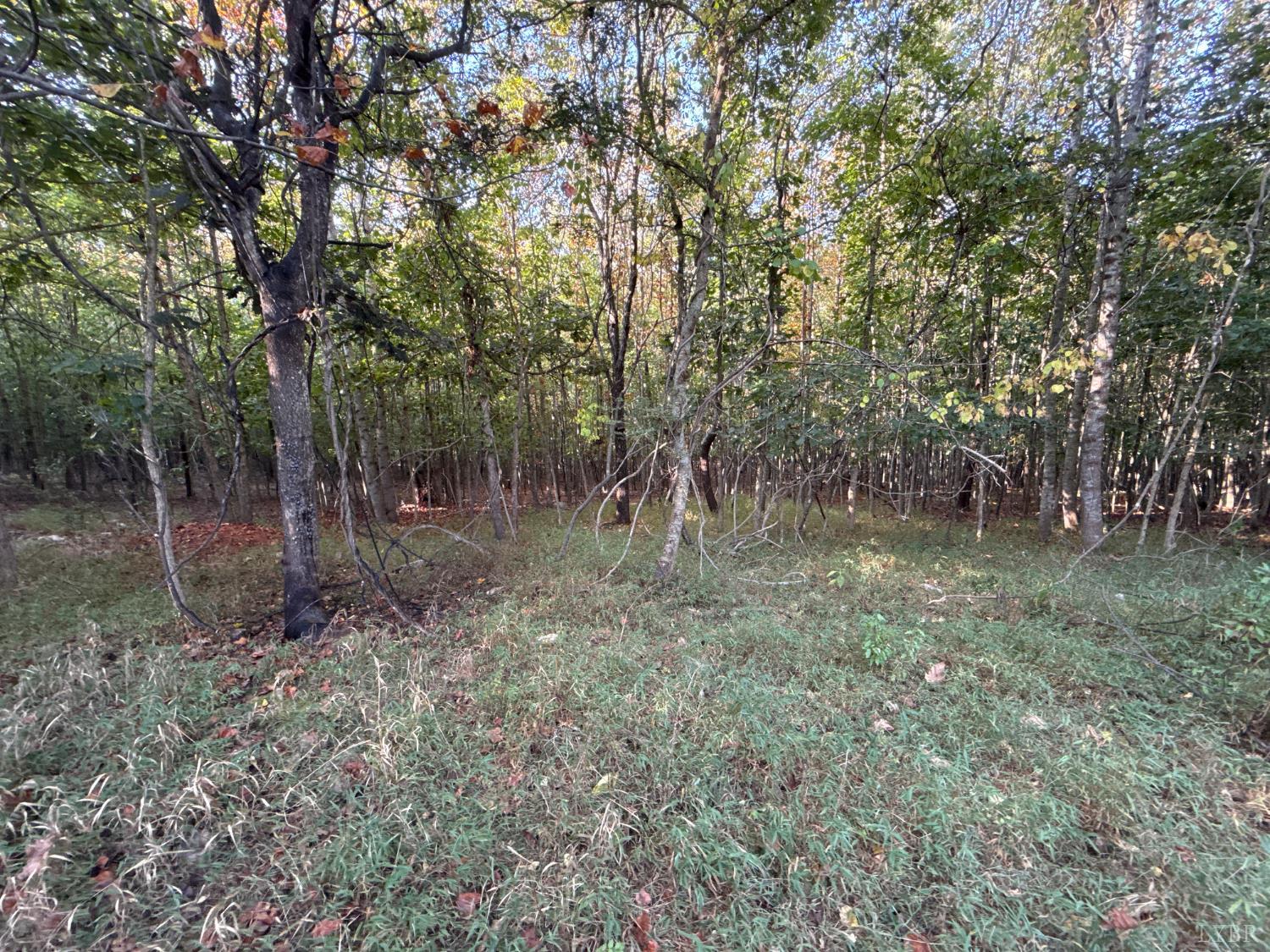 0 Shiloh Church Road Bedford, VA 24523 - Photo 7 of 20 Gallery Image 7