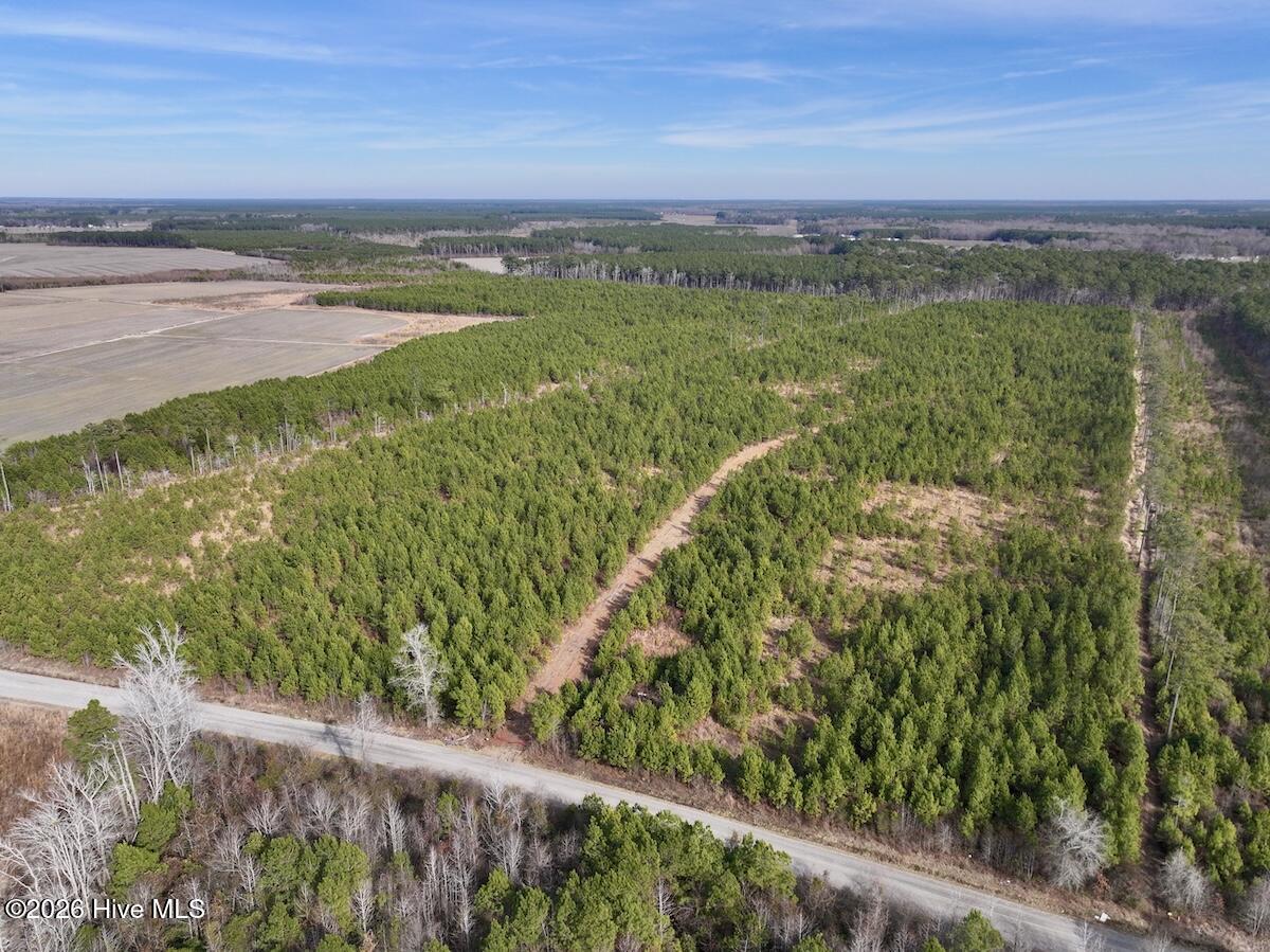 0 Old Washington Road Vanceboro, NC 28586 - Photo 2 of 34 2