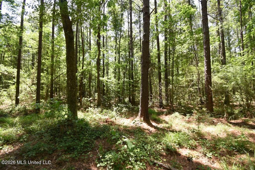 0 Miller Road Olive Branch, MS 38654 - Photo 19 of 26 5-15-2025-7-21-01-AM