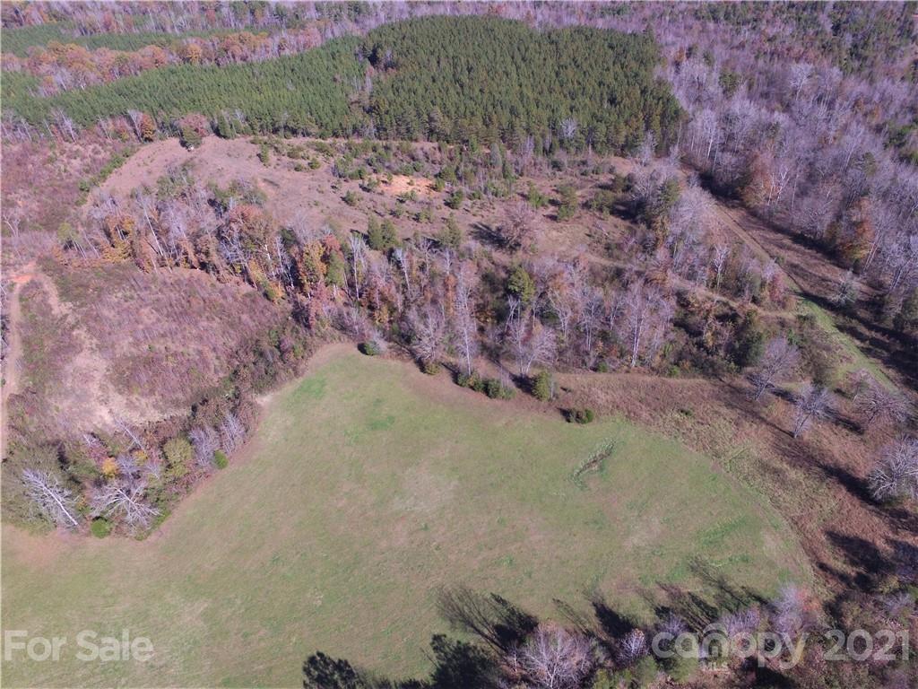 1770 Legion Road Hickory Grove, SC 29717 - Photo 26 of 48 a view of a forest with a forest