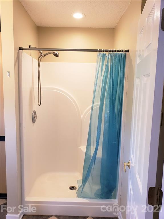 1770 Legion Road Hickory Grove, SC 29717 - Photo 43 of 48 a bathroom with a shower and a mirror