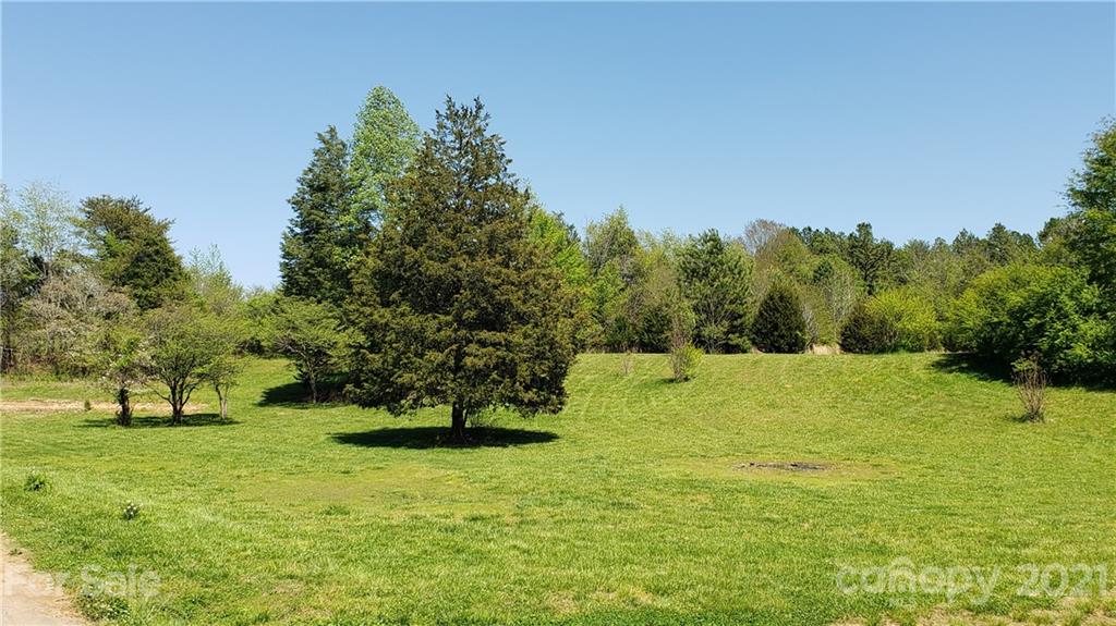 1770 Legion Road Hickory Grove, SC 29717 - Photo 47 of 48 a view of yard with trees