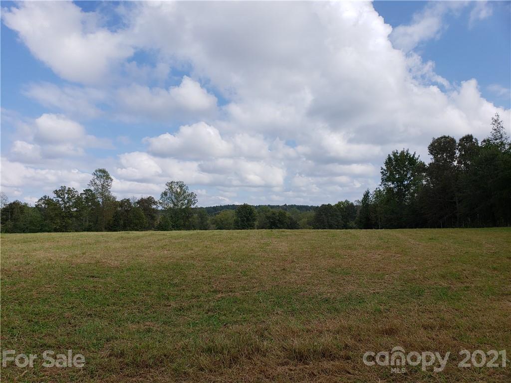 1770 Legion Road Hickory Grove, SC 29717 - Photo 48 of 48 a view of ocean with a large trees in the background