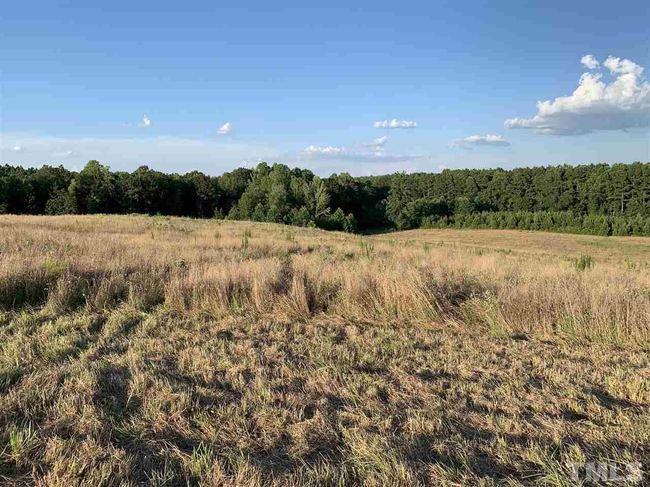0 Bobbitt Road Kittrell, NC 27544 - Photo 1 of 4