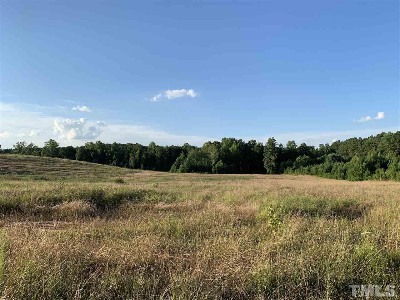 0 Bobbitt Road Kittrell, NC 27544 - Photo 3 of 4