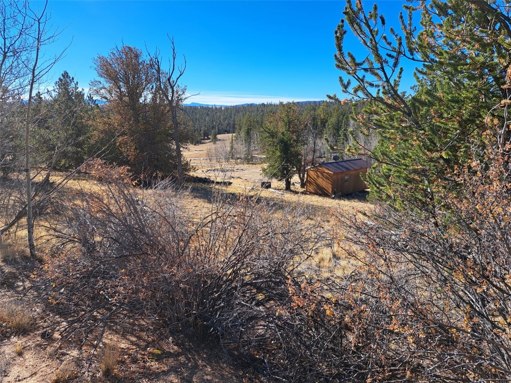 209 Crooked Rock Path Como, CO 80456 - Photo 13 of 17 a view of a outdoor space