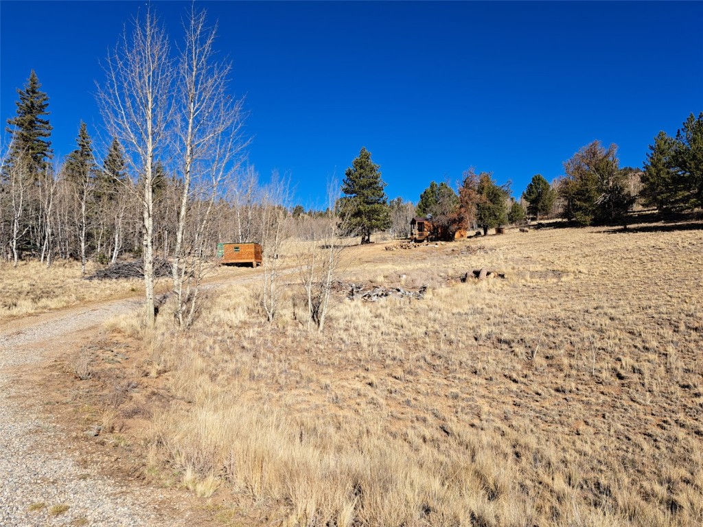 209 Crooked Rock Path Como, CO 80456 - Photo 14 of 17 a view of snow on the side of a road