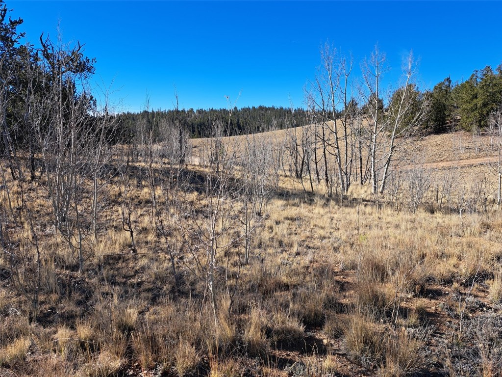 209 Crooked Rock Path Como, CO 80456 - Photo 2 of 17 a view of backyard with wooden fence