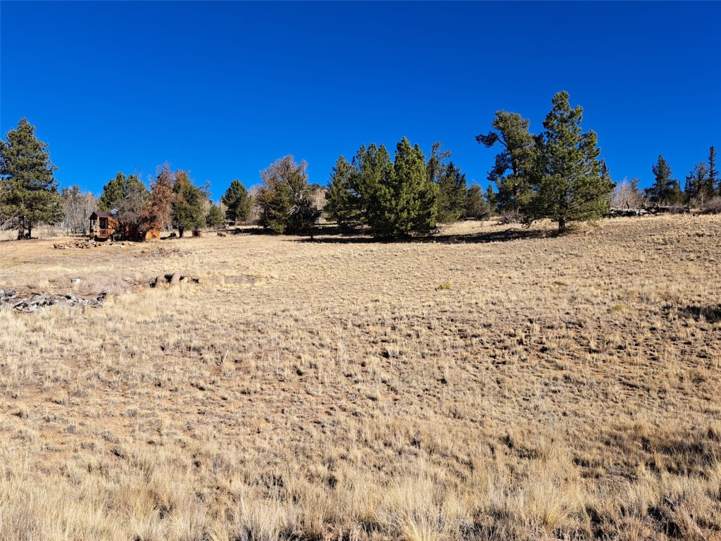 209 Crooked Rock Path Como, CO 80456 - Photo 5 of 17