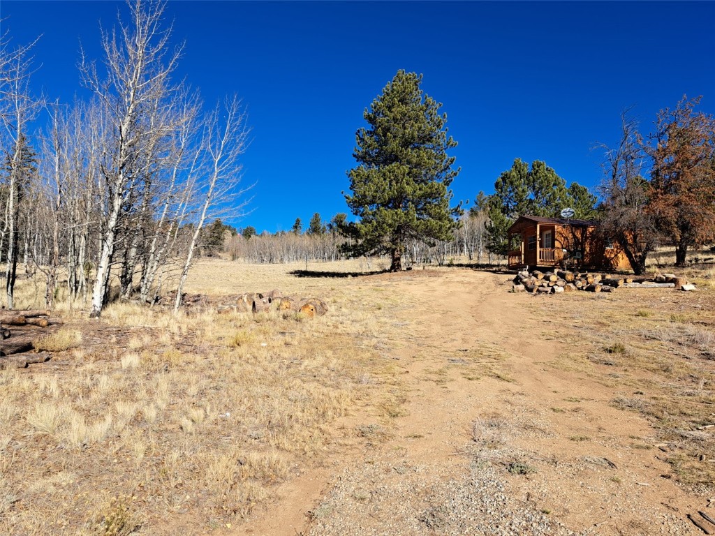 209 Crooked Rock Path Como, CO 80456 - Photo 6 of 17 a view of a snow with a yard