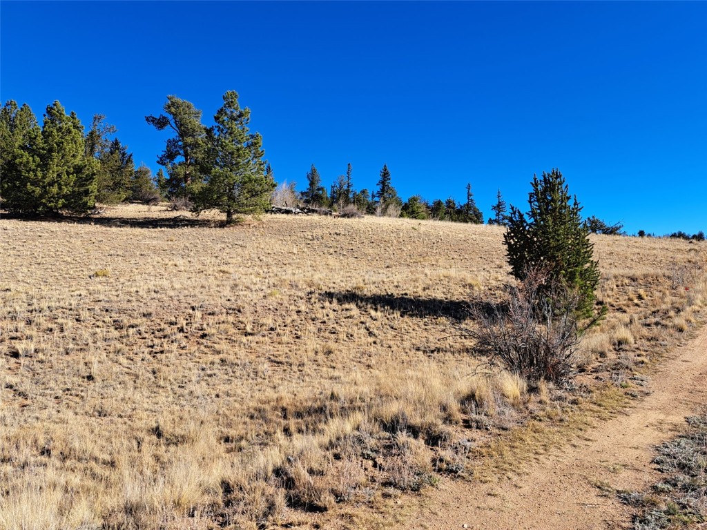 209 Crooked Rock Path Como, CO 80456 - Photo 7 of 17
