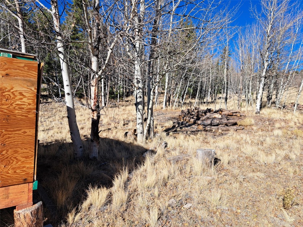 209 Crooked Rock Path Como, CO 80456 - Photo 8 of 17