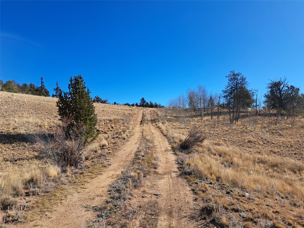 209 Crooked Rock Path Como, CO 80456 - Photo 9 of 17