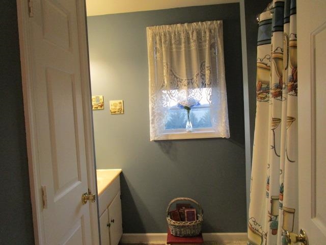 54 Spottswood Road Raphine, VA 24472 - Photo 33 of 46 a view of utility room