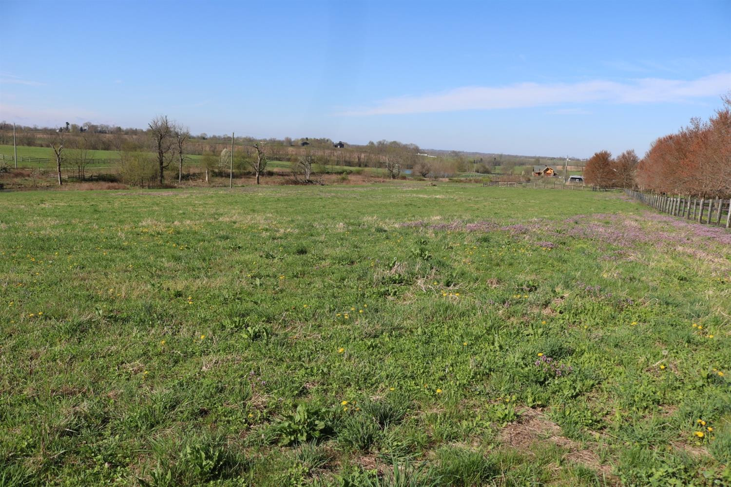 402 Duvall Station Road Georgetown, KY 40324 - Photo 2 of 10 Photo 2
