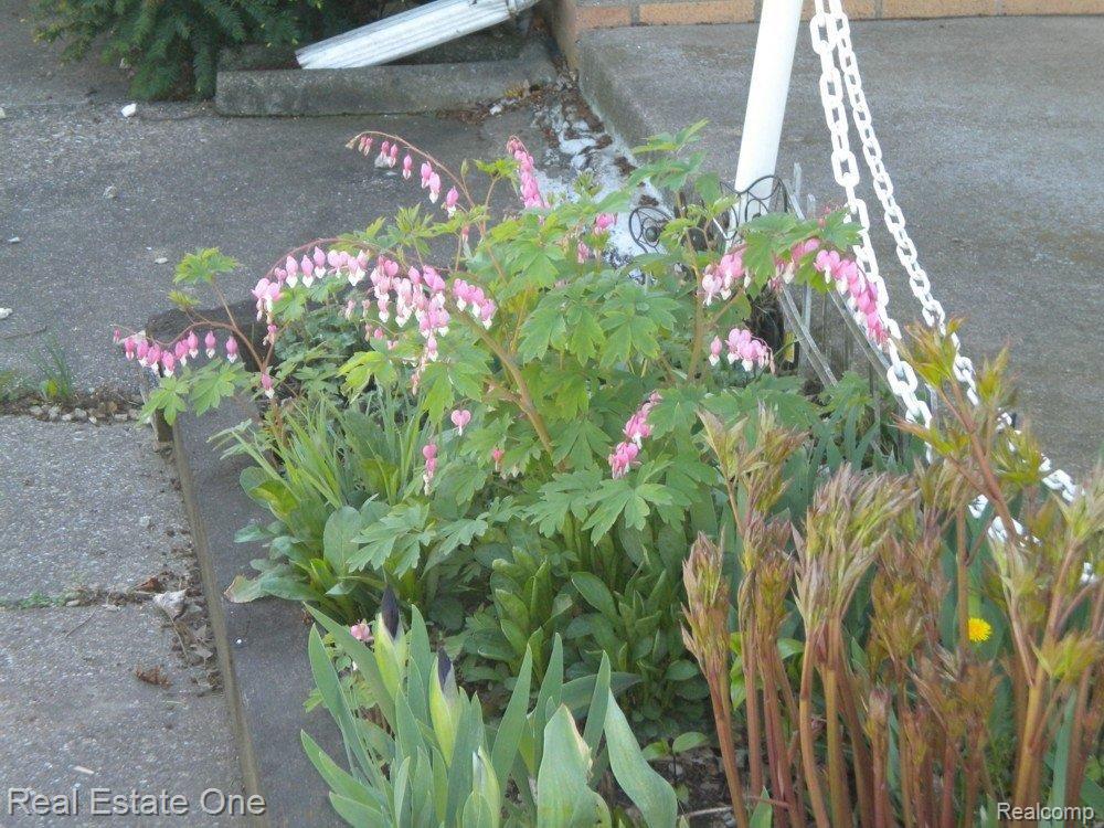 11215 Martin Road Warren, MI 48093 - Photo 8 of 12 Patio flowers.jpg