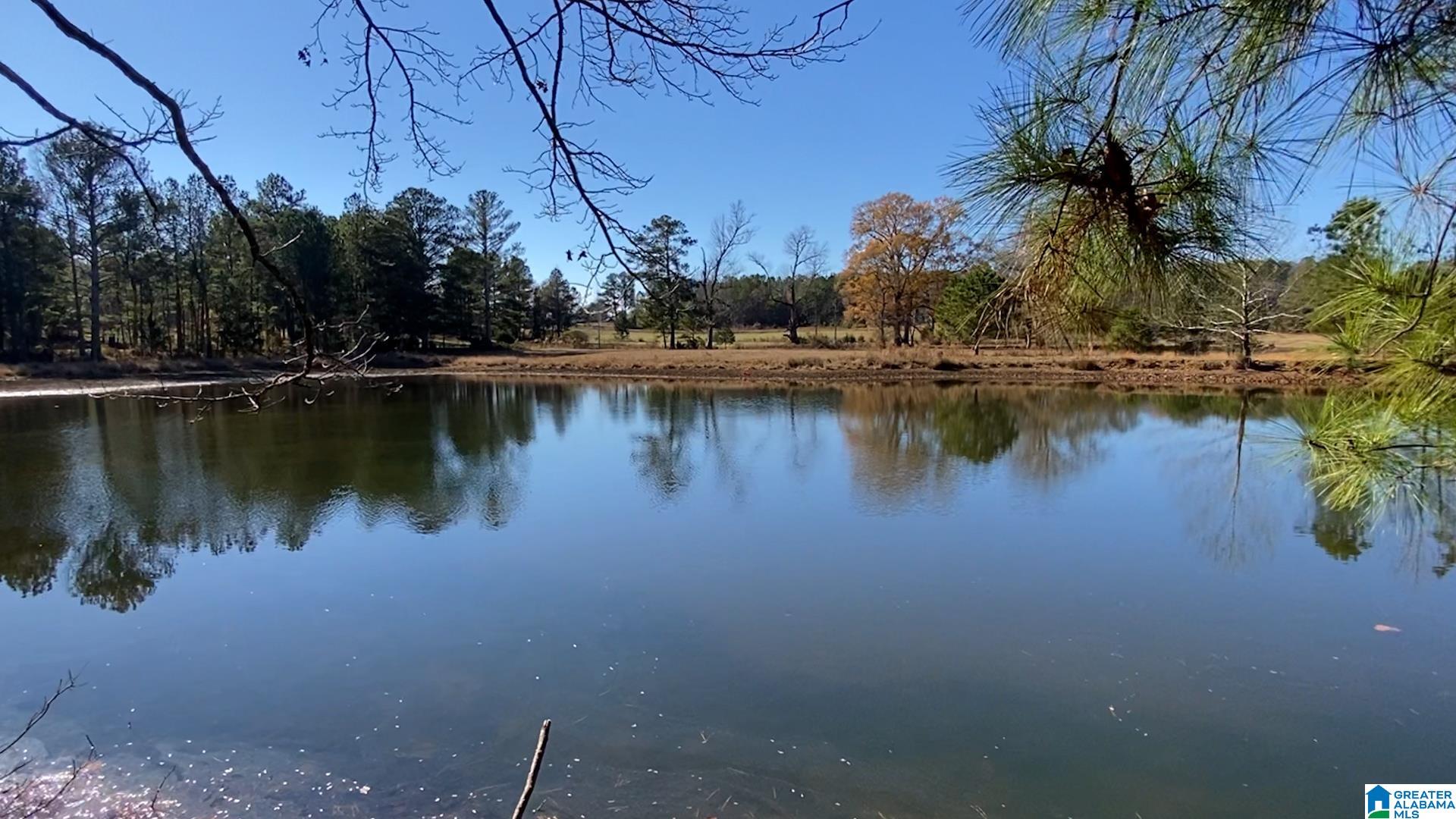 0 Highway 132, Unit 11 / ACRES Oneonta, AL 35121 - Photo 8 of 18