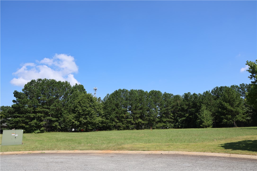 120 Perpetual Square Drive Anderson, SC 29621 - Photo 3 of 15