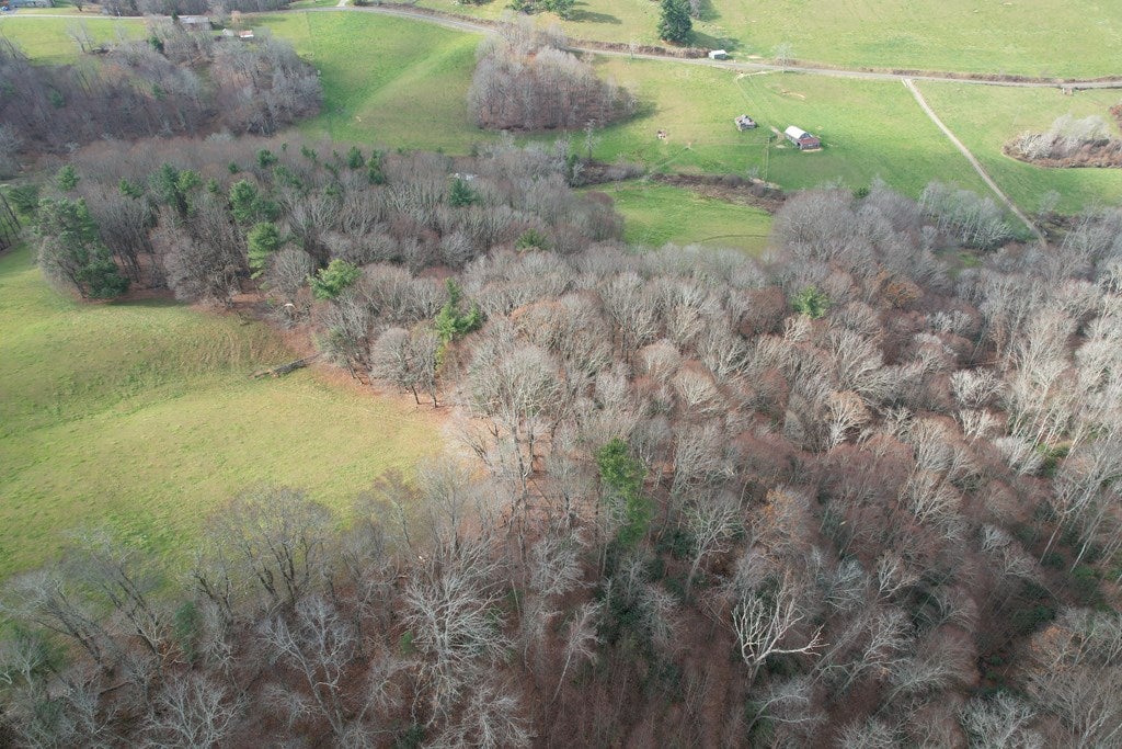 5549 Joy Ranch Road Fancy Gap, VA 24328 - Photo 16 of 38 Gallery Image 16
