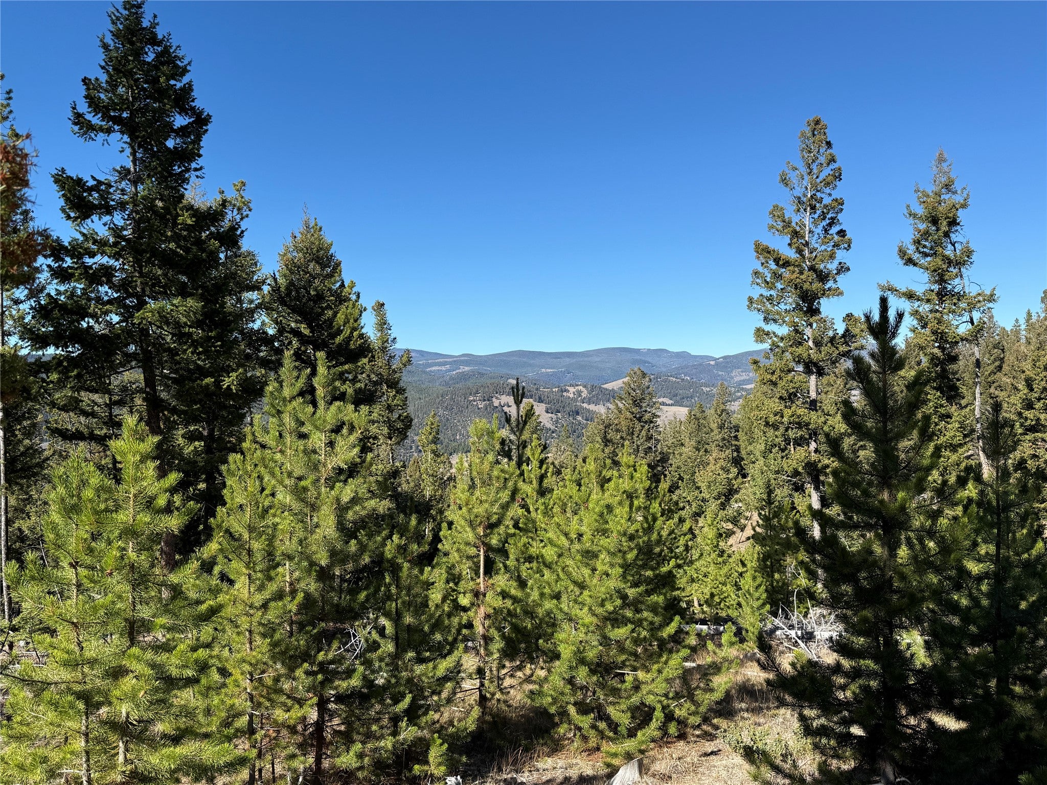Lot 8 Ruby Street Butte, MT 59701 - Photo 34 of 34 Gallery Image 34
