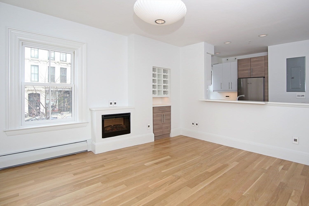 53 Union Park, Unit 1 Boston, MA 02118 - Photo 2 of 14
