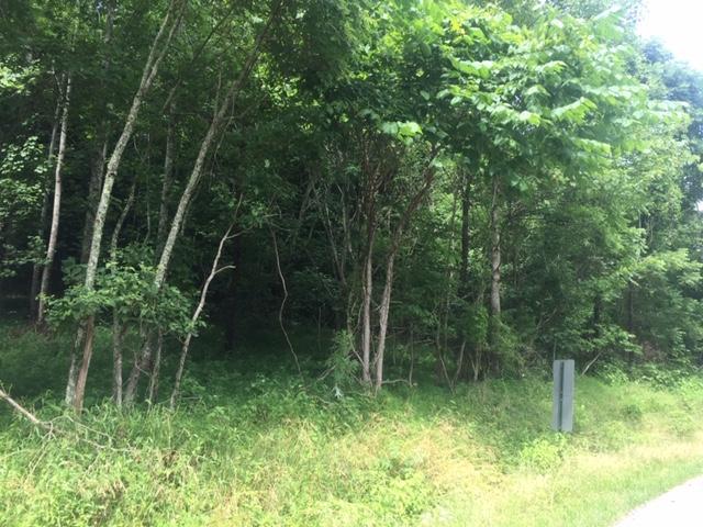 3205 Piney Grove Road Somerset, KY 42501 - Photo 1 of 5 IMG_5487