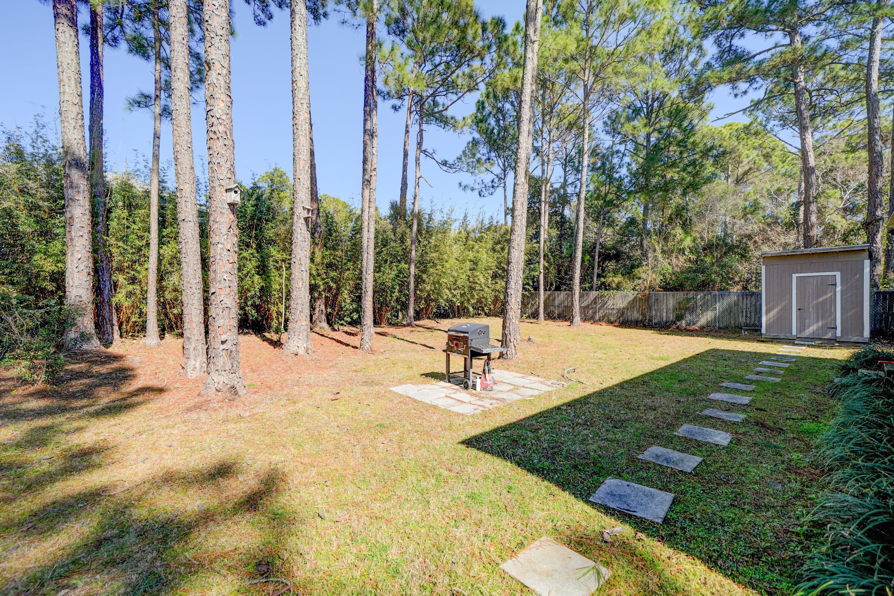 167 Starlight Lane Santa Rosa Beach, FL 32459 - Photo 4 of 44 Back yard + shed