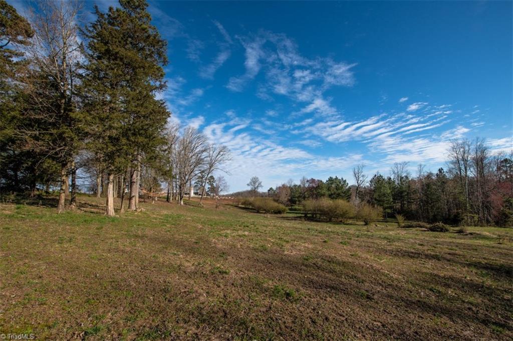 1700 County Home Road Blanch, NC 27212 - Photo 22 of 30 Gallery Image 22