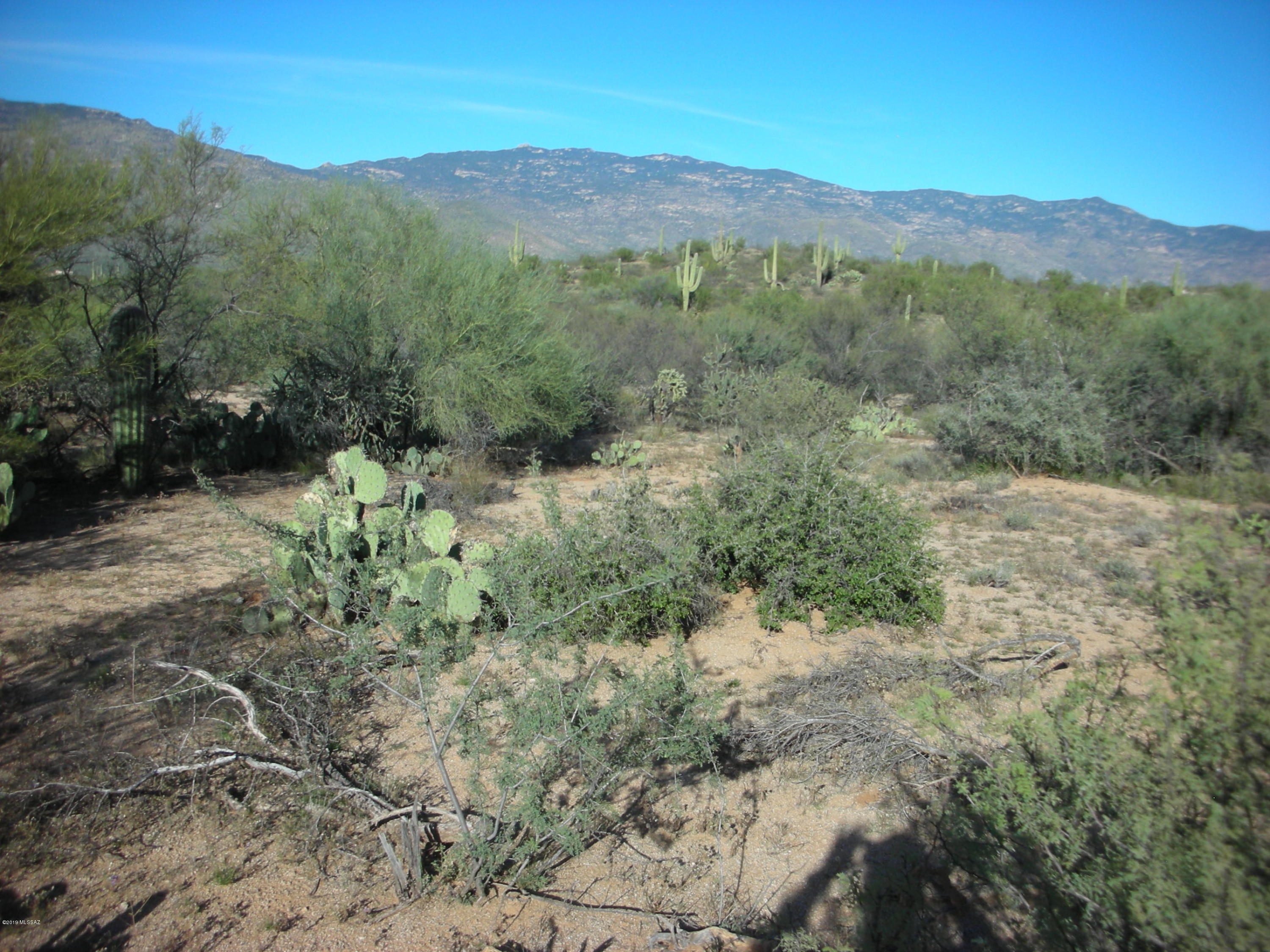 Tbd East Camino Dorotea Road Vail, AZ 85641 - Photo 24 of 24