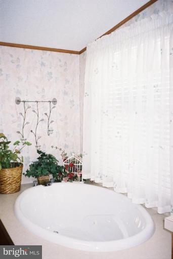 7853 Sellner Road Jessup, MD 20794 - Photo 12 of 28 Jetted soaking tub and huge picture window
