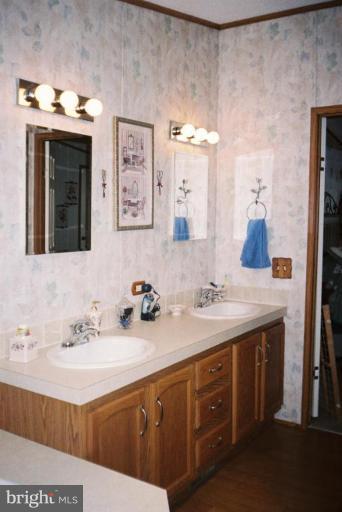 7853 Sellner Road Jessup, MD 20794 - Photo 13 of 28 Double sinks in master bathroom