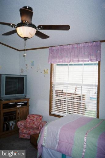 7853 Sellner Road Jessup, MD 20794 - Photo 16 of 28 Large window, custom ceiling fan w/light fixture