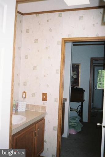 7853 Sellner Road Jessup, MD 20794 - Photo 18 of 28 Hall bath - outer section - sink and skylight