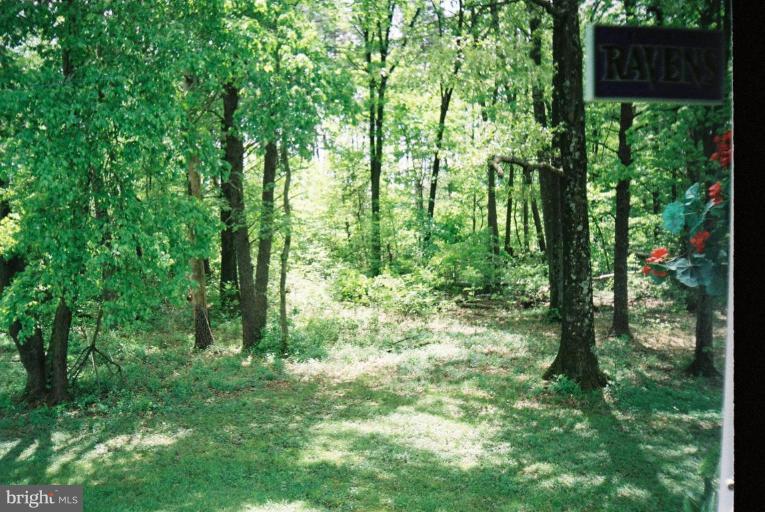7853 Sellner Road Jessup, MD 20794 - Photo 27 of 28 Wooded area in the rear of the home