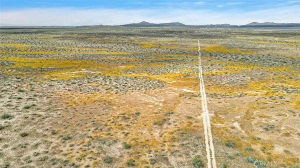 a view of a lake and a mountain