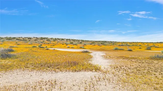 a view of an ocean and beach