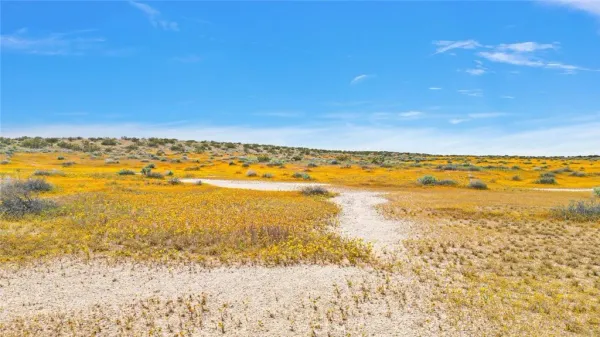 a view of an ocean and beach