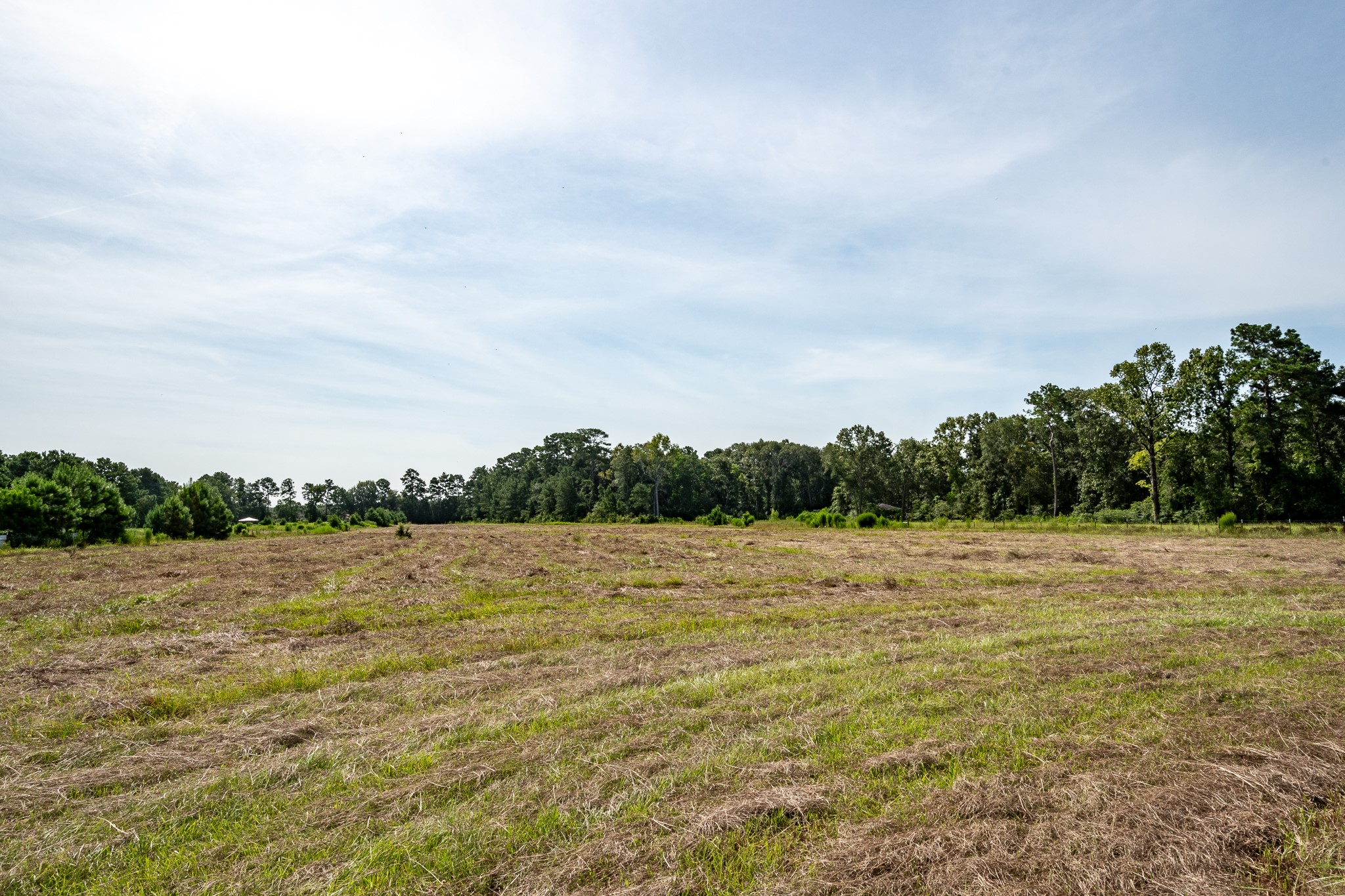 15953 1st Street Splendora, TX 77372 - Photo 21 of 23 a view of an ocean