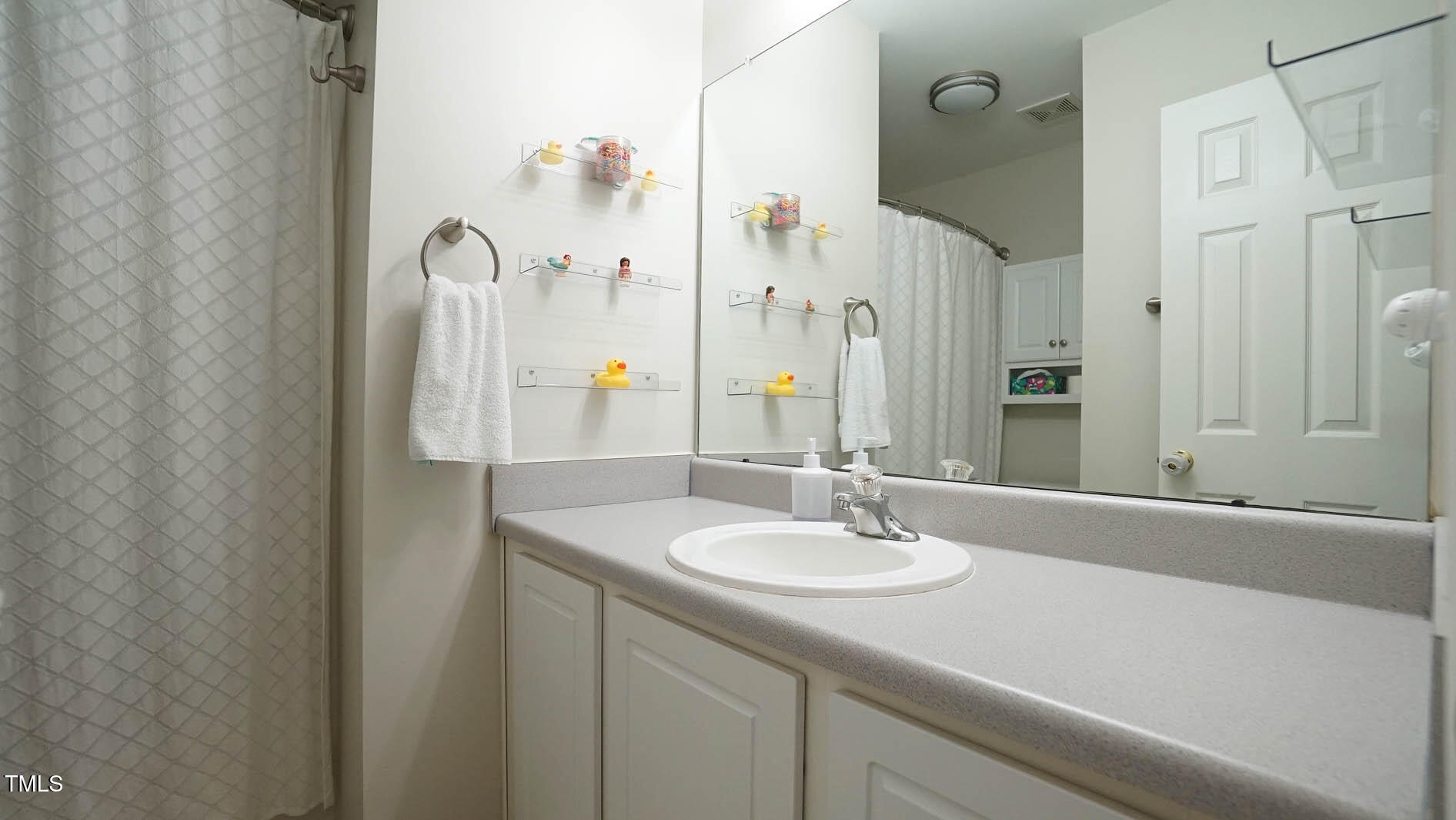 3709 Fan Palm Court Raleigh, NC 27616 - Photo 28 of 39 DSC09266