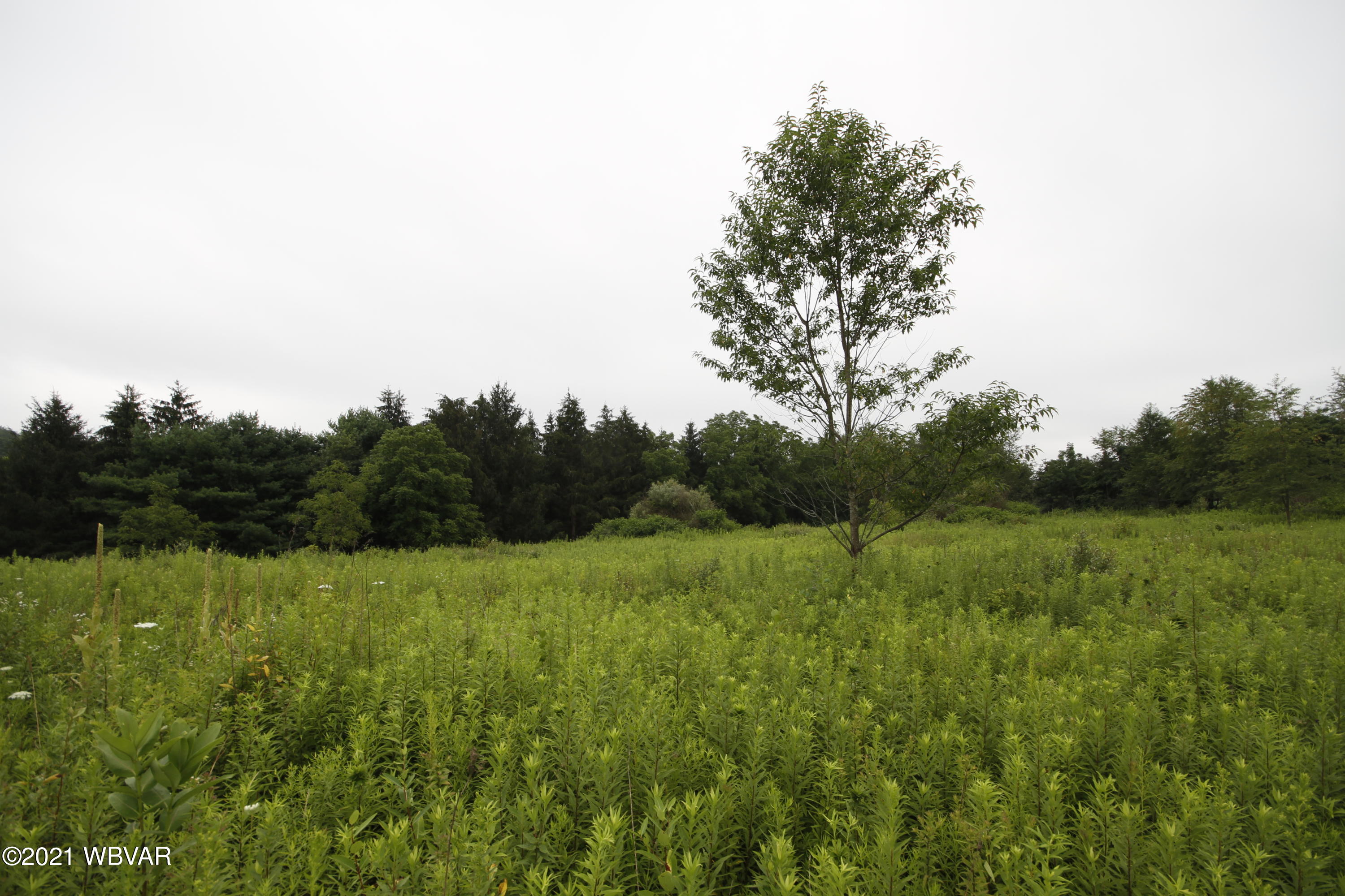 Mordan Hollow Road Unityville, PA 17774 - Photo 3 of 9 Gallery Image 3
