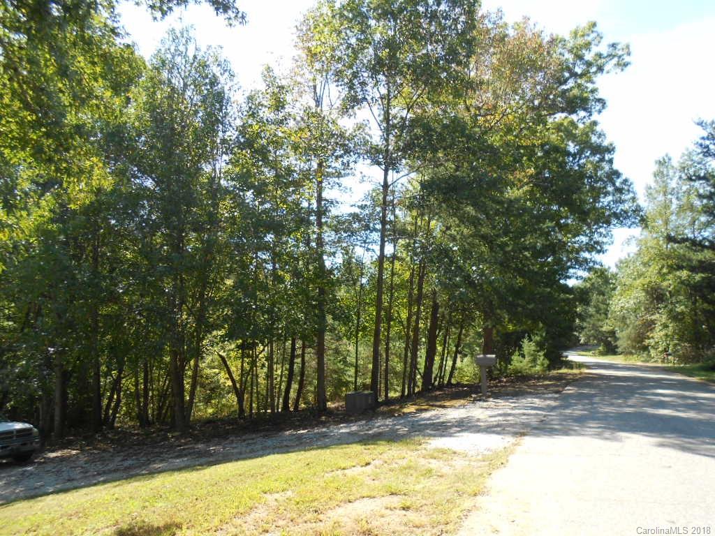 Lot 34 Falcon Ridge Road, Unit 34 Maiden, NC 28650 - Photo 8 of 17 Gallery Image 8