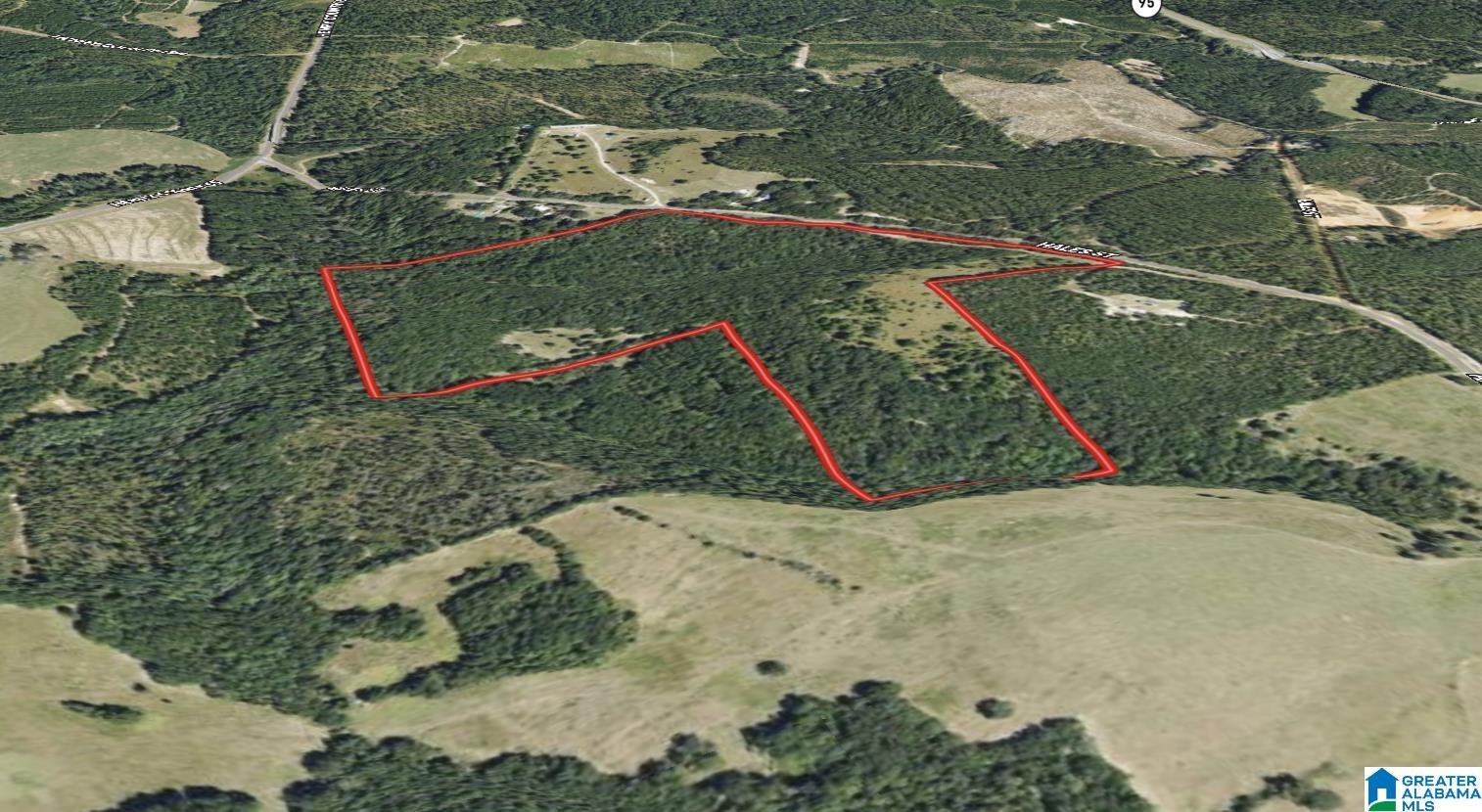 0 County Road 65 Abbeville, AL 36310 - Photo 23 of 24