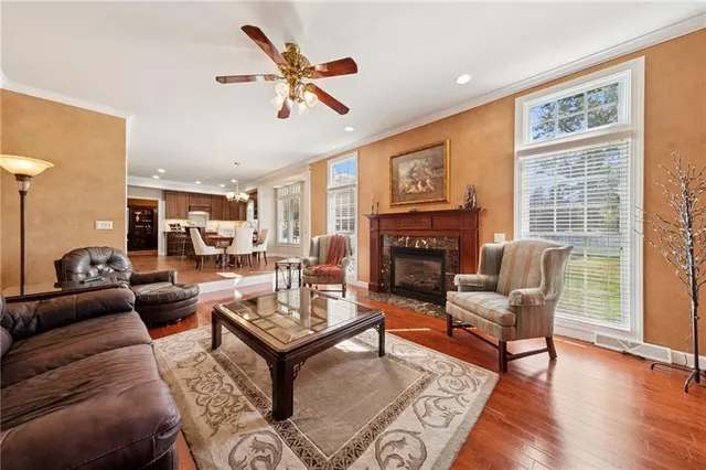 a living room with furniture or couch and a fireplace
